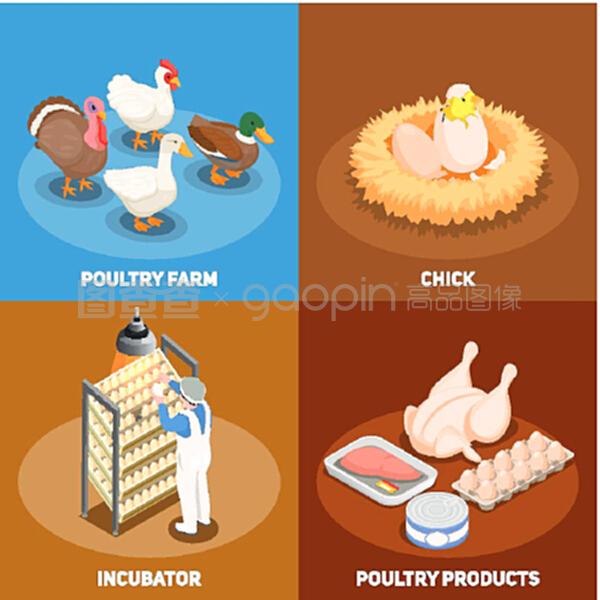 家禽养殖的革新 Nest家禽养殖场孵卵器与2x2产品设计概念