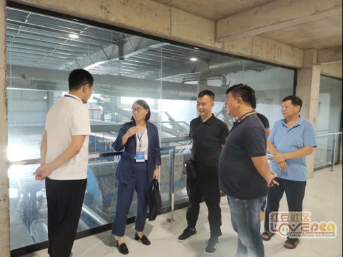 科技赋能畜牧，智汇引领未来——名家工作室与博士后科技服务团助力的家禽技术服务新篇章