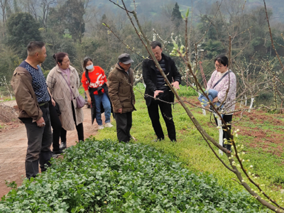 发展乡村特色产业 家禽技术服务拓宽农民增收致富渠道