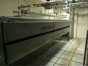 家禽屠宰流水线设备 高效卧式脱毛机助力禽类加工