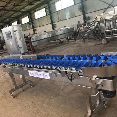 智能化分拣鸡爪机器 提升家禽产业效率的技术创新