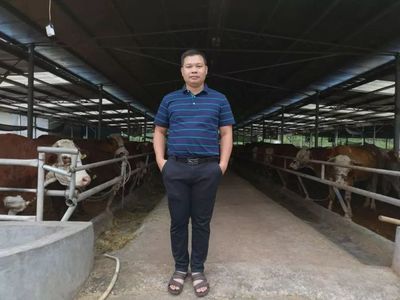 40%经销商面临洗牌，非瘟倒逼下他们如何在家禽技术服务赛道觅得新生？