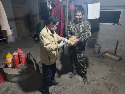 高安街道多措并举强化动物防疫，扎实推进家禽疫苗接种与技术服务